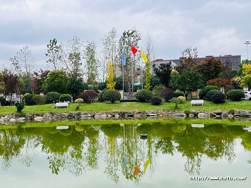 1732011573433288yVKN.jpg 3.jpg